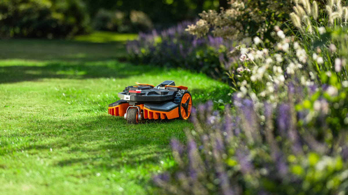 Landscaping